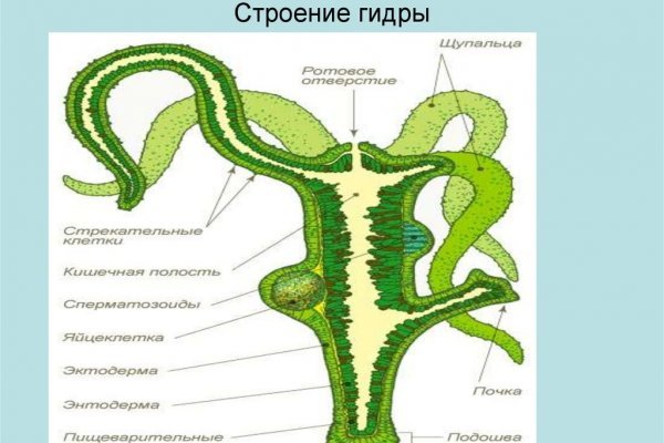 Kraken официальное зеркало kraken dark link