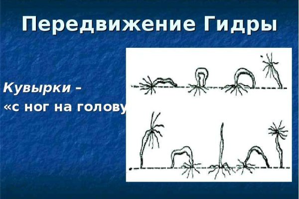 Kraken 2025 ссылка